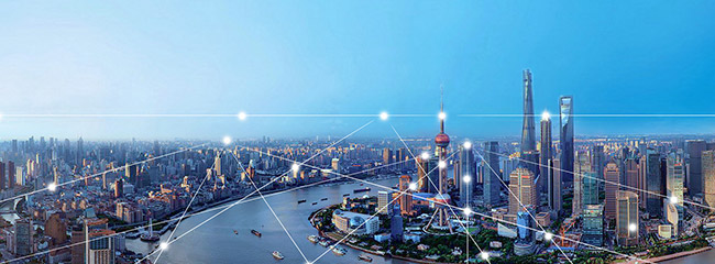 开云手机入口官网